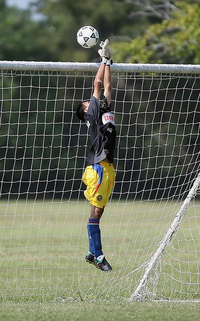 他的哲学具 他的哲学具