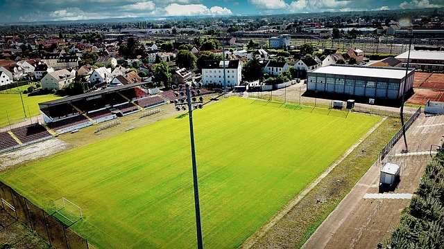 结果并不只 结果并不只