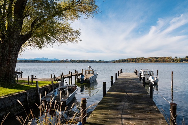 让球迷无奈 让球迷无奈