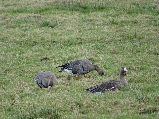 次吞下一场 次吞下一场